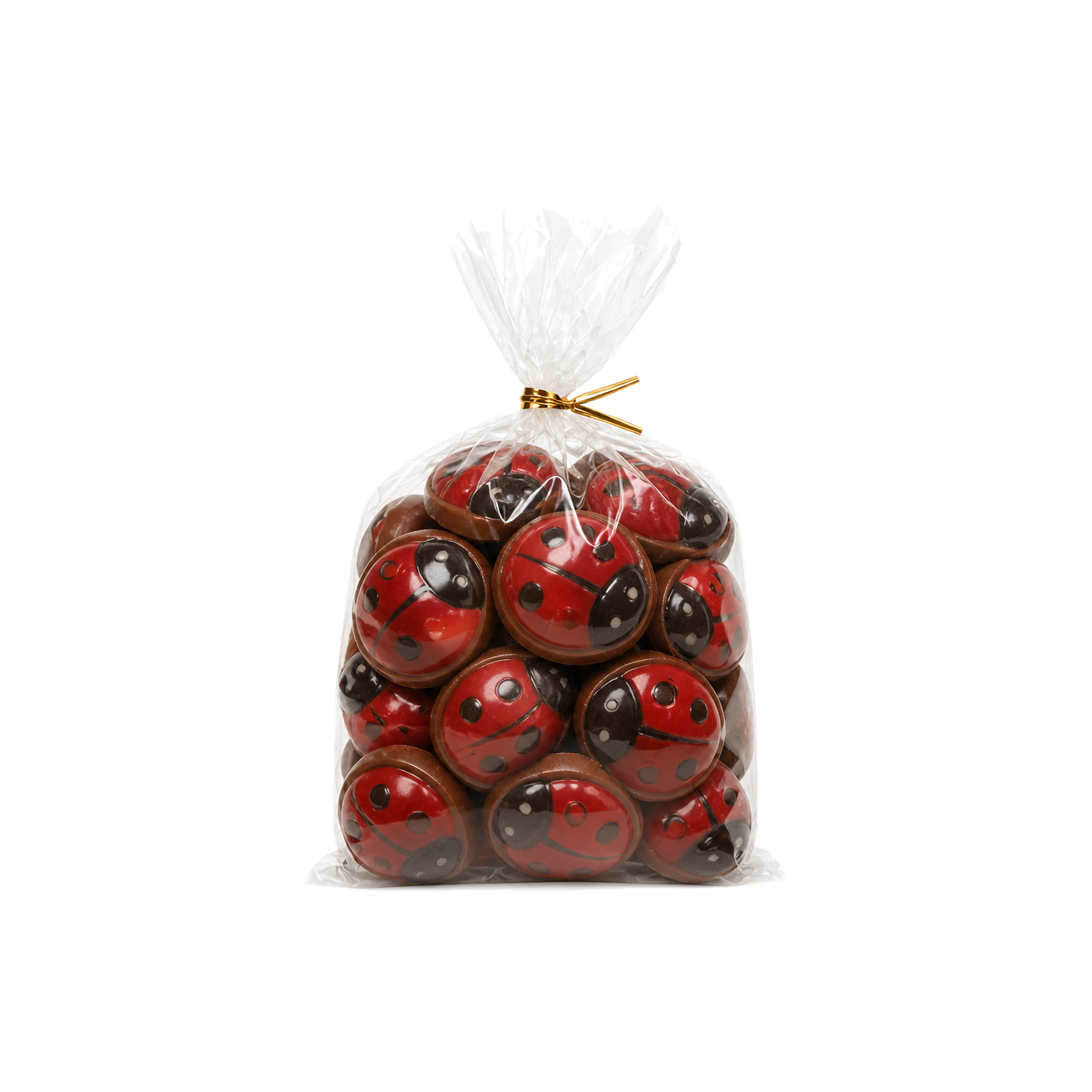 Sütlü Kokolin Uğur Böceği Paket